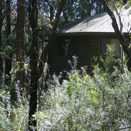Twin Falls Bush Cottages Fitzroy Falls Buitenkant foto