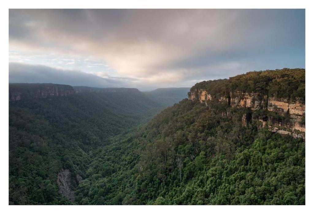 Twin Falls Bush Cottages Fitzroy Falls Buitenkant foto
