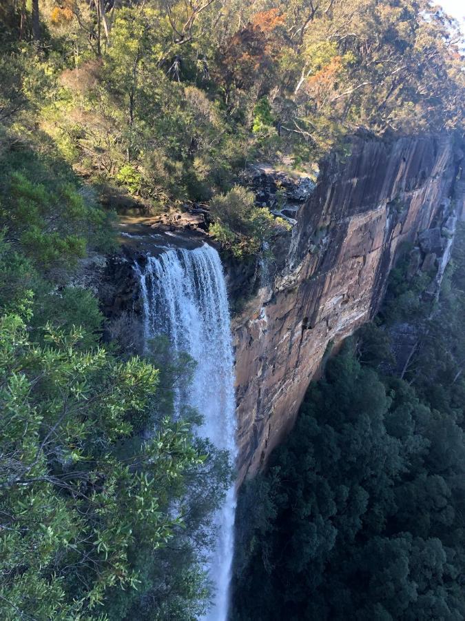 Twin Falls Bush Cottages Fitzroy Falls Buitenkant foto