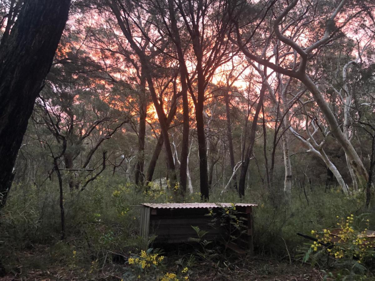 Twin Falls Bush Cottages Fitzroy Falls Buitenkant foto