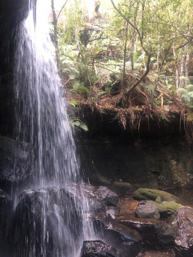 Twin Falls Bush Cottages Fitzroy Falls Buitenkant foto