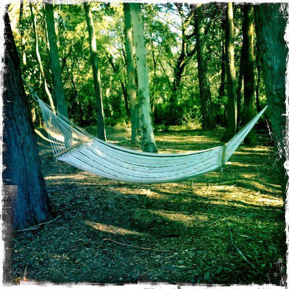 Twin Falls Bush Cottages Fitzroy Falls Kamer foto