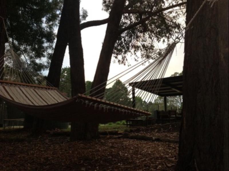 Twin Falls Bush Cottages Fitzroy Falls Buitenkant foto