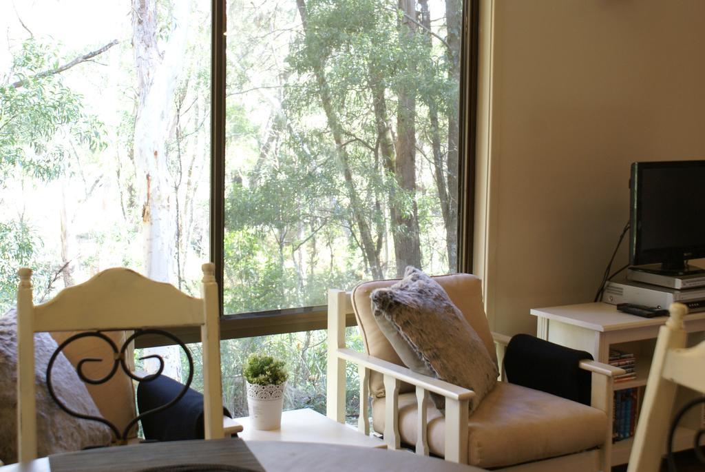 Twin Falls Bush Cottages Fitzroy Falls Buitenkant foto