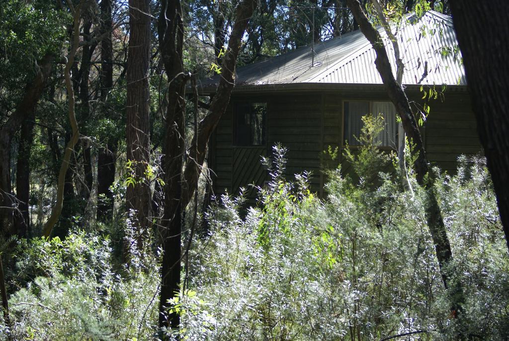 Twin Falls Bush Cottages Fitzroy Falls Buitenkant foto